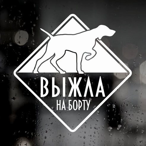 Наклейка собаки на авто - Выжла