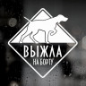 Наклейка собаки на авто - Выжла