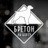 Наклейка собаки на авто - Бретон