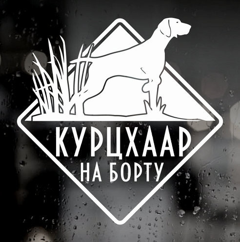 Наклейка собаки на авто - Курцхаар