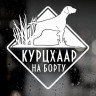 Наклейка собаки на авто - Курцхаар