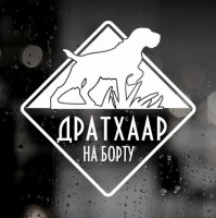 Наклейка собаки на авто - Дратхаар