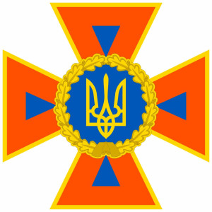 Вінілова  наклейка - ДСНС