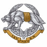 Виниловая наклейка - ССО ЗСУ