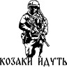 Вінілова  наклейка - Козаки йдуть v2