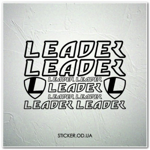 Набор наклеек на велосипед "Leader", наклейки на раму.