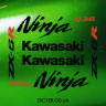 Набір вінілових наклейок на мотоцикл KAWASAKI ZX-6R, Ninja, 636, 2005 Набір вінілових наклейок на мотоцикл KAWASAKI ZX-6R, Ninja, 636, 2005