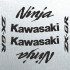 Набір вінілових наклейок на мотоцикл KAWASAKI ZX-6R, Ninja, 2009 Набір вінілових наклейок на мотоцикл KAWASAKI ZX-6R, Ninja, 2009