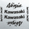 Набір вінілових наклейок на мотоцикл KAWASAKI ZX-6R, Ninja, 2009 Набір вінілових наклейок на мотоцикл KAWASAKI ZX-6R, Ninja, 2009