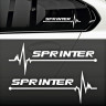 Вінілова наклейка на автомобіль Sprinter pulse 2 шт.