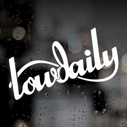 Виниловая наклейка на автомобиль  - Lowdaily